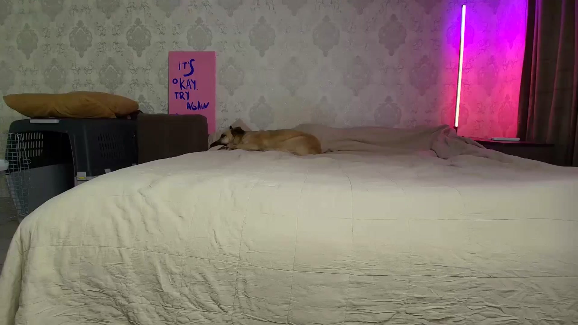Gallery image thumbnail from BloodyMaria's myfreecams stream on, 11/22/2025, 13:38 image 17 of 20
