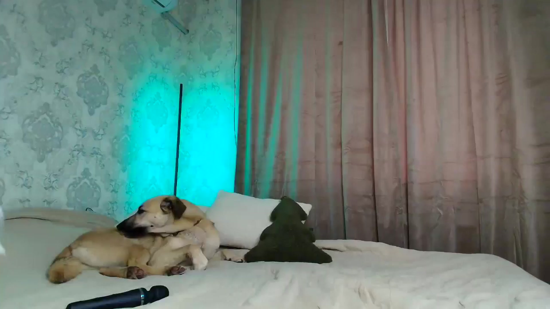 Gallery image thumbnail from BloodyMaria's myfreecams stream on, 11/29/2025, 08:08 image 1 of 20