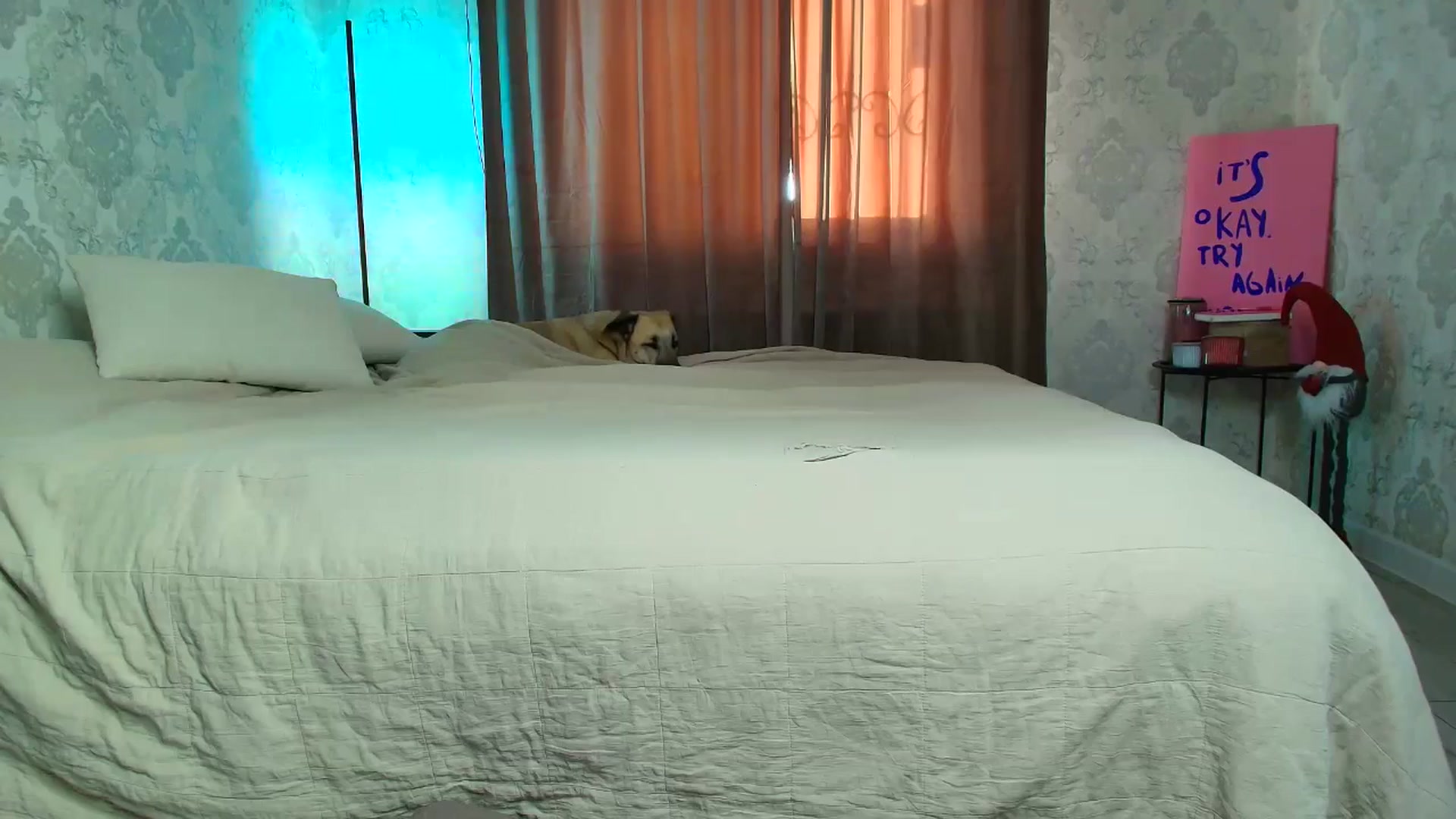 Gallery image thumbnail from BloodyMaria's myfreecams stream on, 12/07/2025, 14:11 image 3 of 20