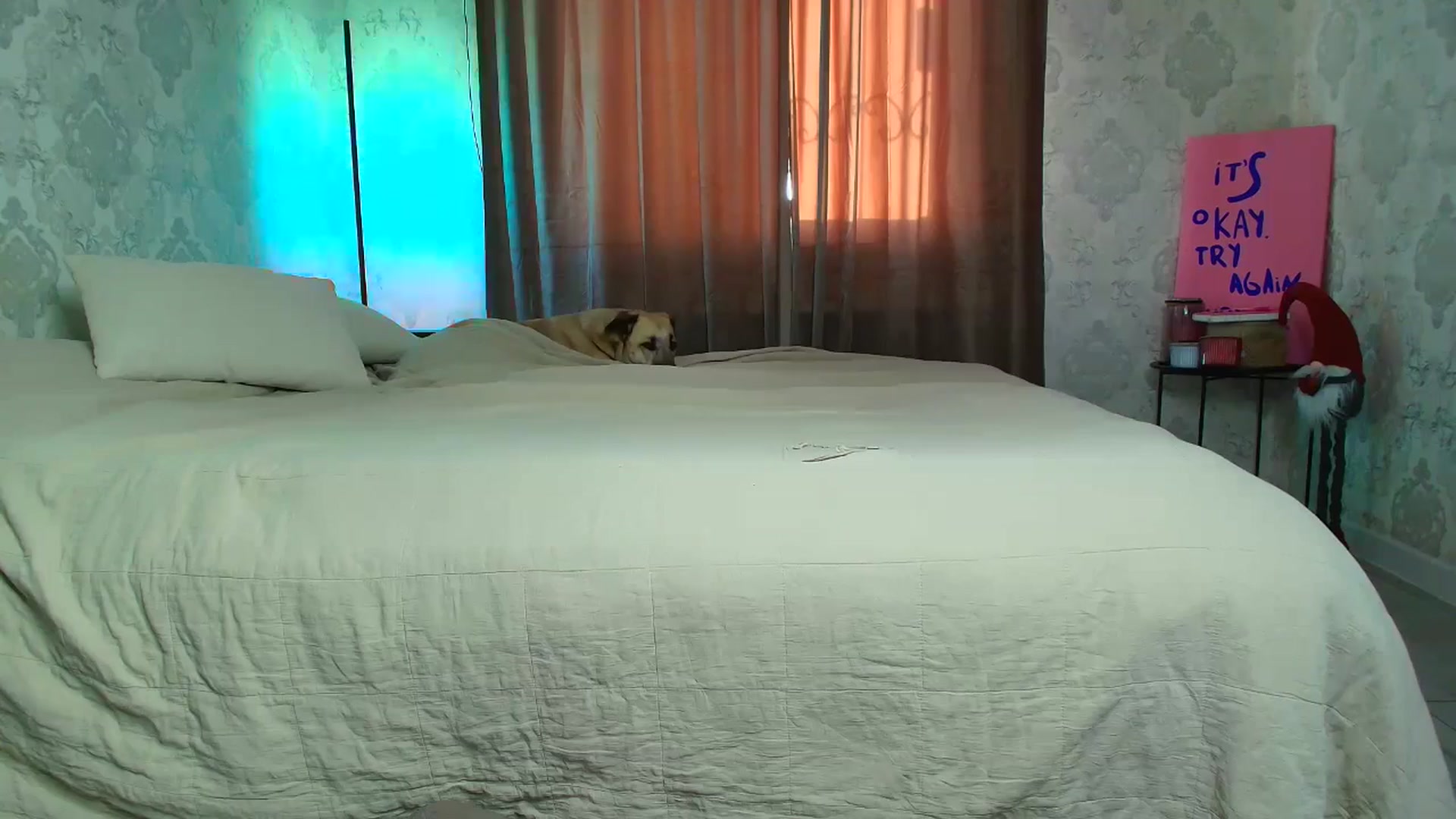 Gallery image thumbnail from BloodyMaria's myfreecams stream on, 12/07/2025, 14:11 image 2 of 20
