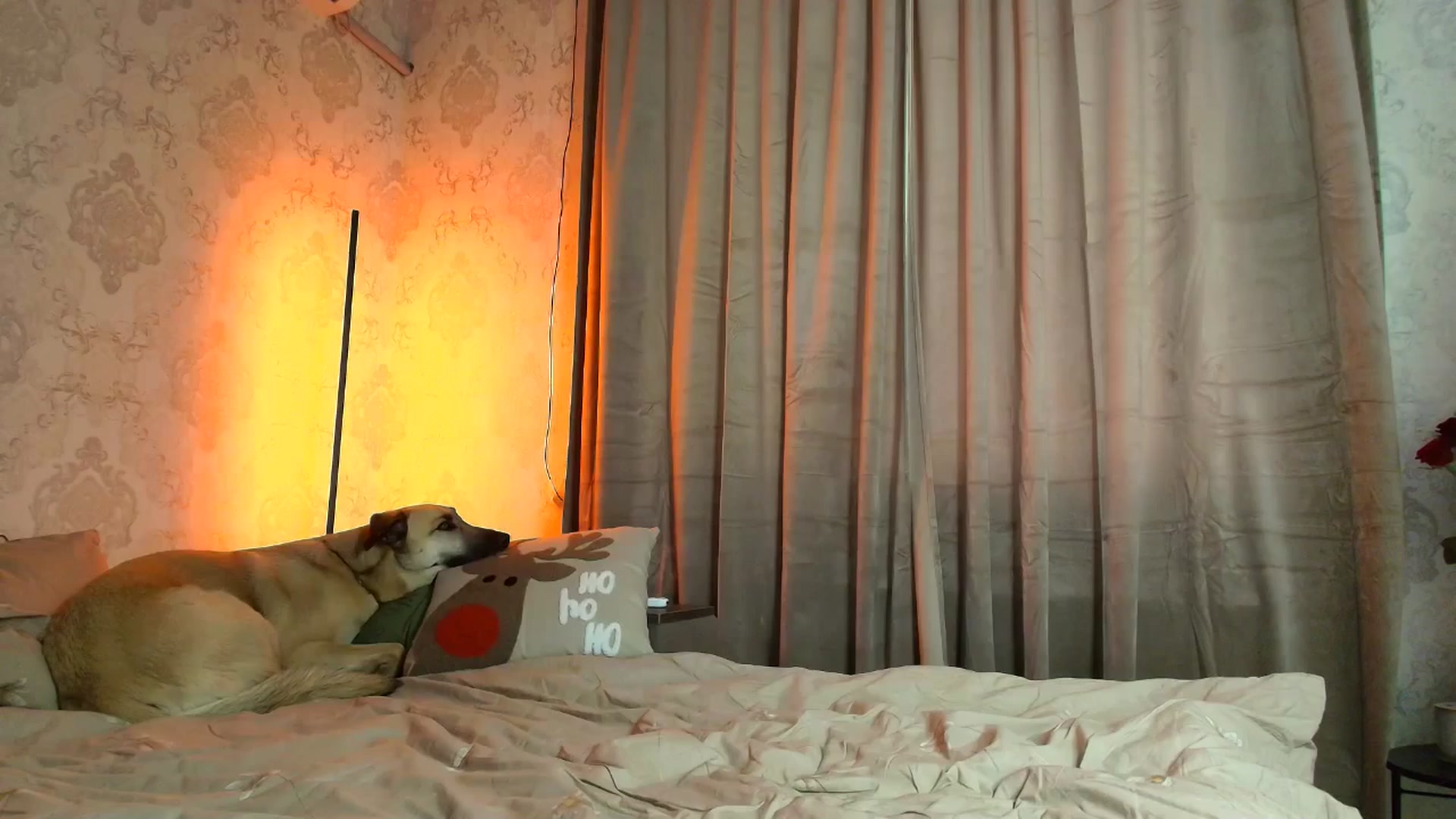 Gallery image thumbnail from BloodyMaria's myfreecams stream on, 12/25/2025, 12:19 image 7 of 20