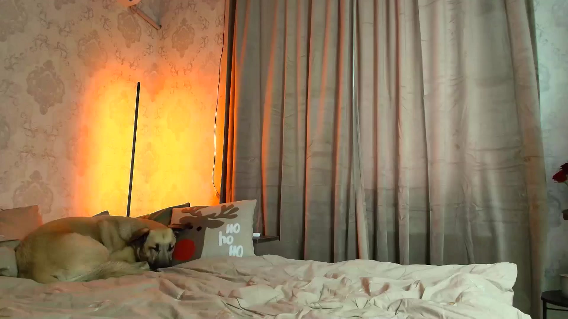 Gallery image thumbnail from BloodyMaria's myfreecams stream on, 12/25/2025, 12:19 image 13 of 20