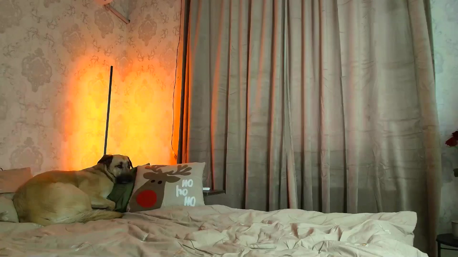 Gallery image thumbnail from BloodyMaria's myfreecams stream on, 12/25/2025, 12:19 image 6 of 20
