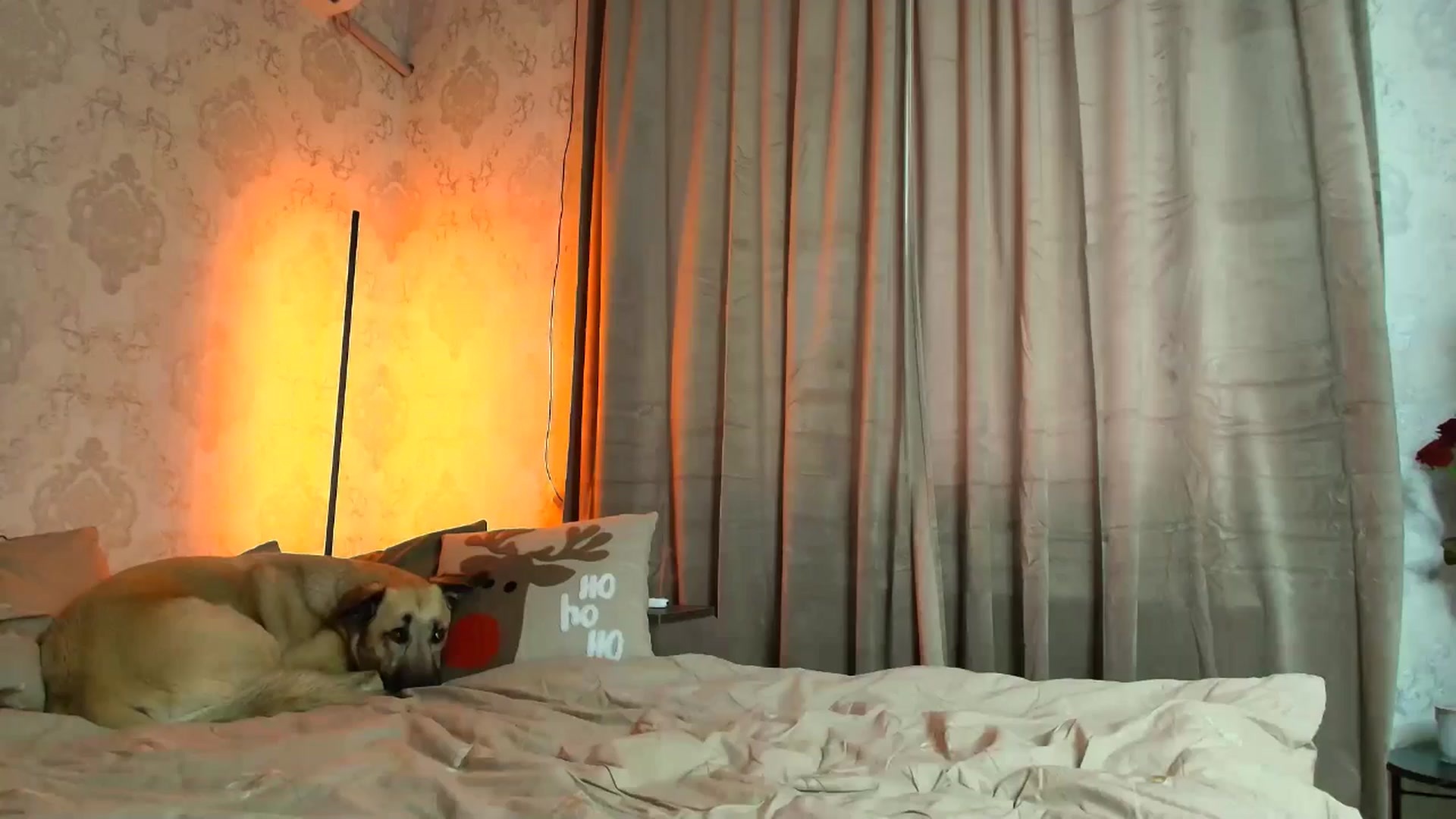 Gallery image thumbnail from BloodyMaria's myfreecams stream on, 12/25/2025, 12:19 image 12 of 20