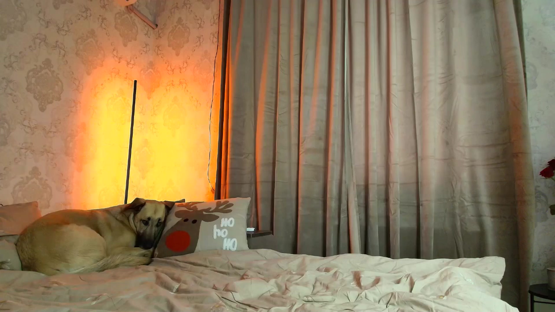 Gallery image thumbnail from BloodyMaria's myfreecams stream on, 12/25/2025, 12:19 image 8 of 20