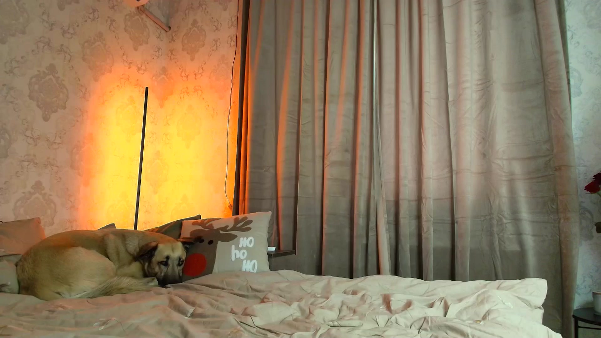 Gallery image thumbnail from BloodyMaria's myfreecams stream on, 12/25/2025, 12:19 image 14 of 20