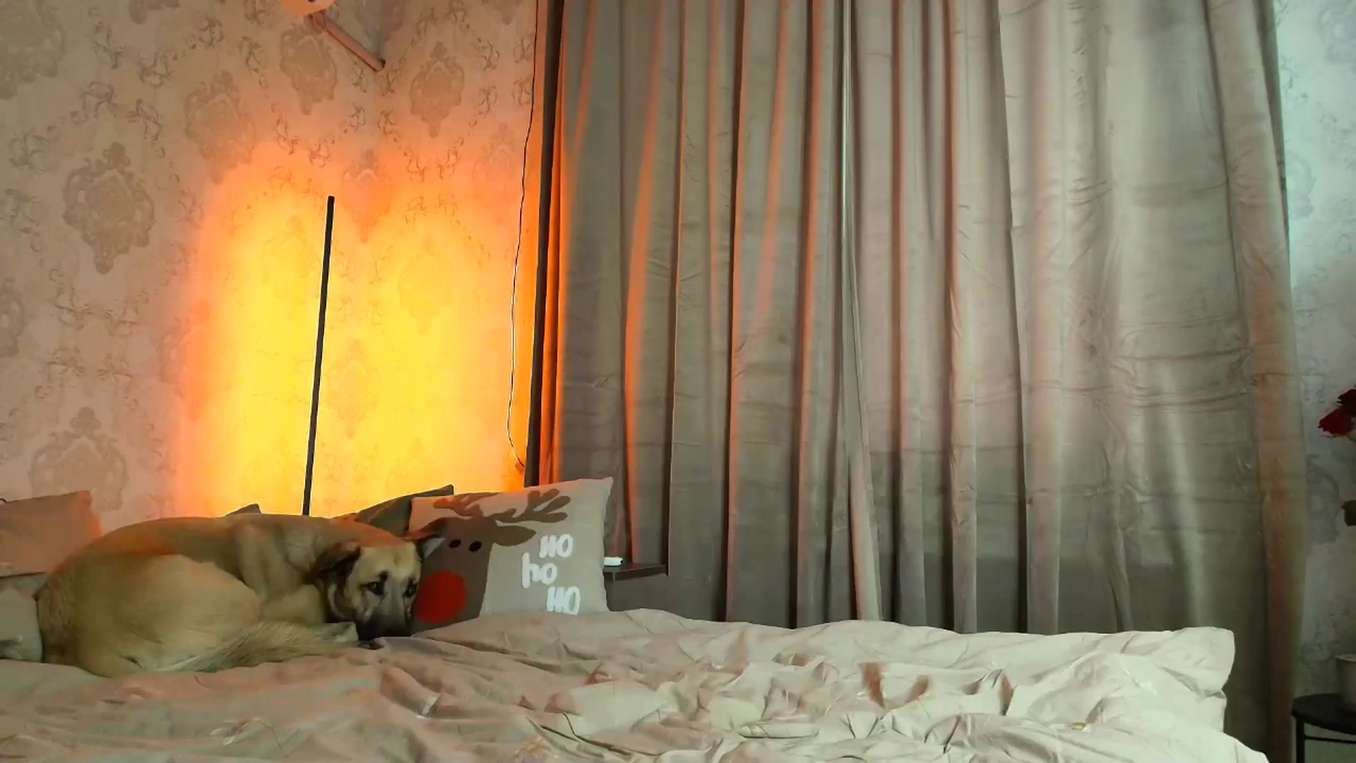 Gallery image thumbnail from BloodyMaria's myfreecams stream on, 12/25/2025, 12:19 image 9 of 20