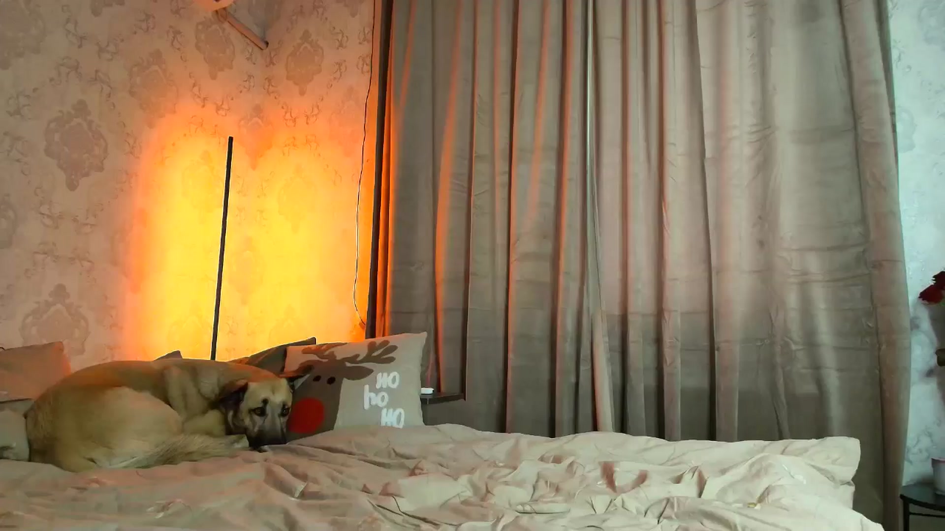 Gallery image thumbnail from BloodyMaria's myfreecams stream on, 12/25/2025, 12:19 image 11 of 20