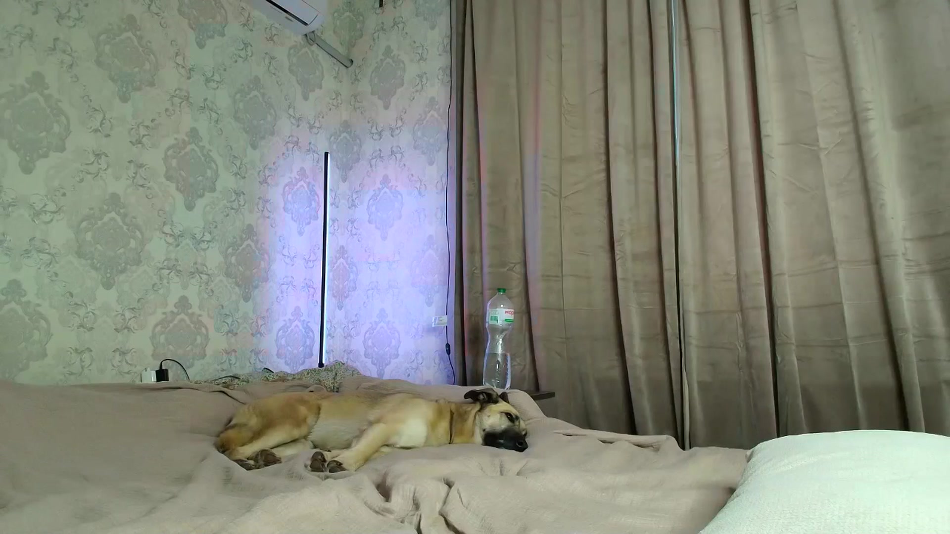 Gallery image thumbnail from BloodyMaria's myfreecams stream on, 01/09/2026, 13:04 image 15 of 20