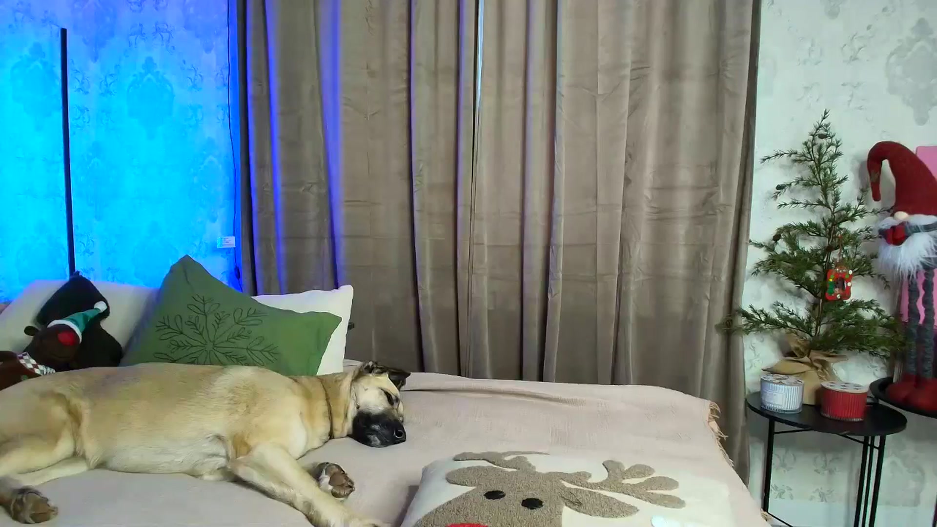 Gallery image thumbnail from BloodyMaria's myfreecams stream on, 01/10/2026, 14:30 image 3 of 20