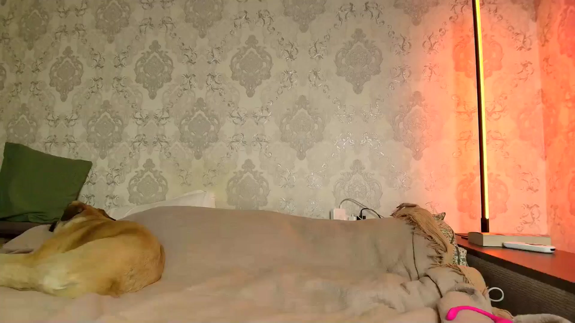 Gallery image thumbnail from BloodyMaria's myfreecams stream on, 01/20/2026, 16:11 image 1 of 20