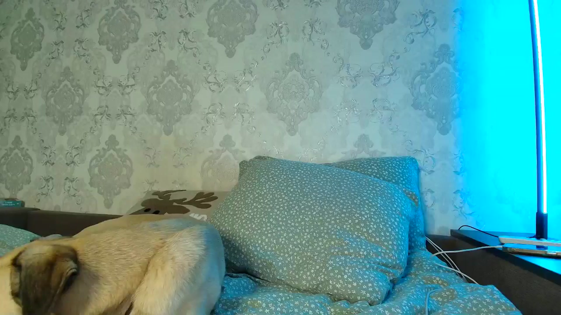 Gallery image thumbnail from BloodyMaria's myfreecams stream on, 01/28/2026, 10:45 image 14 of 20
