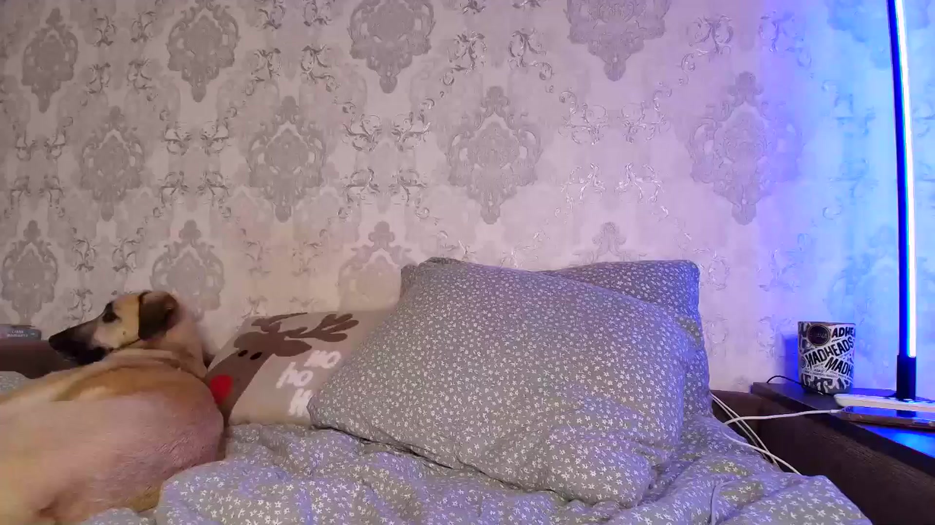 Gallery image thumbnail from BloodyMaria's myfreecams stream on, 01/28/2026, 10:45 image 12 of 20