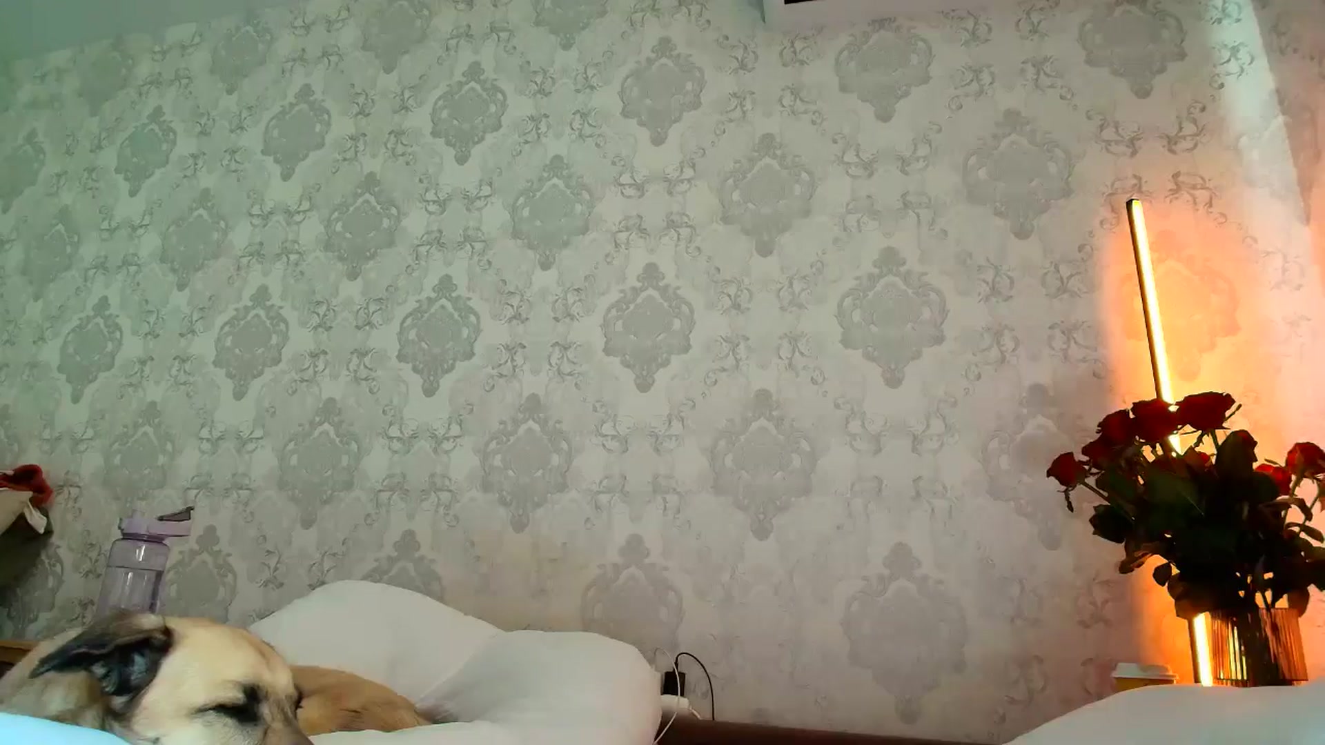 Gallery image thumbnail from BloodyMaria's myfreecams stream on, 04/06/2026, 11:41 image 9 of 20