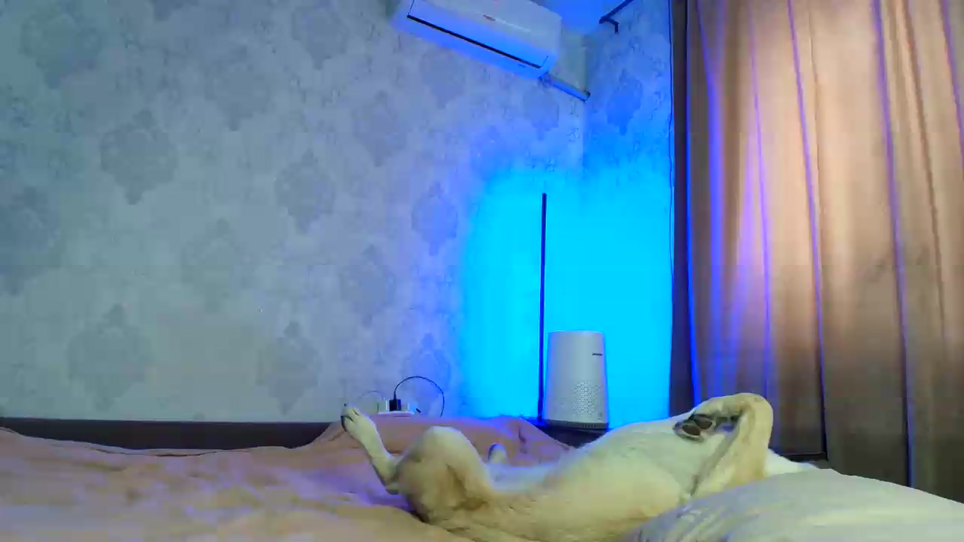 Gallery image thumbnail from BloodyMaria's myfreecams stream on, 05/27/2026, 12:19 image 2 of 20
