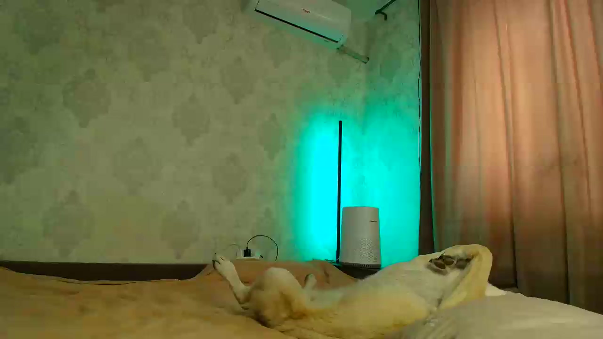 Gallery image thumbnail from BloodyMaria's myfreecams stream on, 05/27/2026, 12:19 image 1 of 20