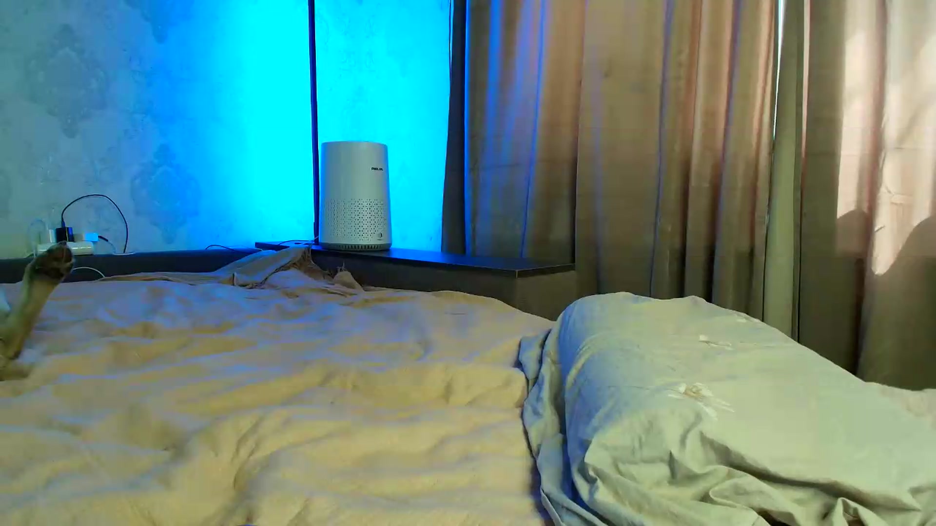 Gallery image thumbnail from BloodyMaria's myfreecams stream on, 05/29/2026, 10:21 image 8 of 20