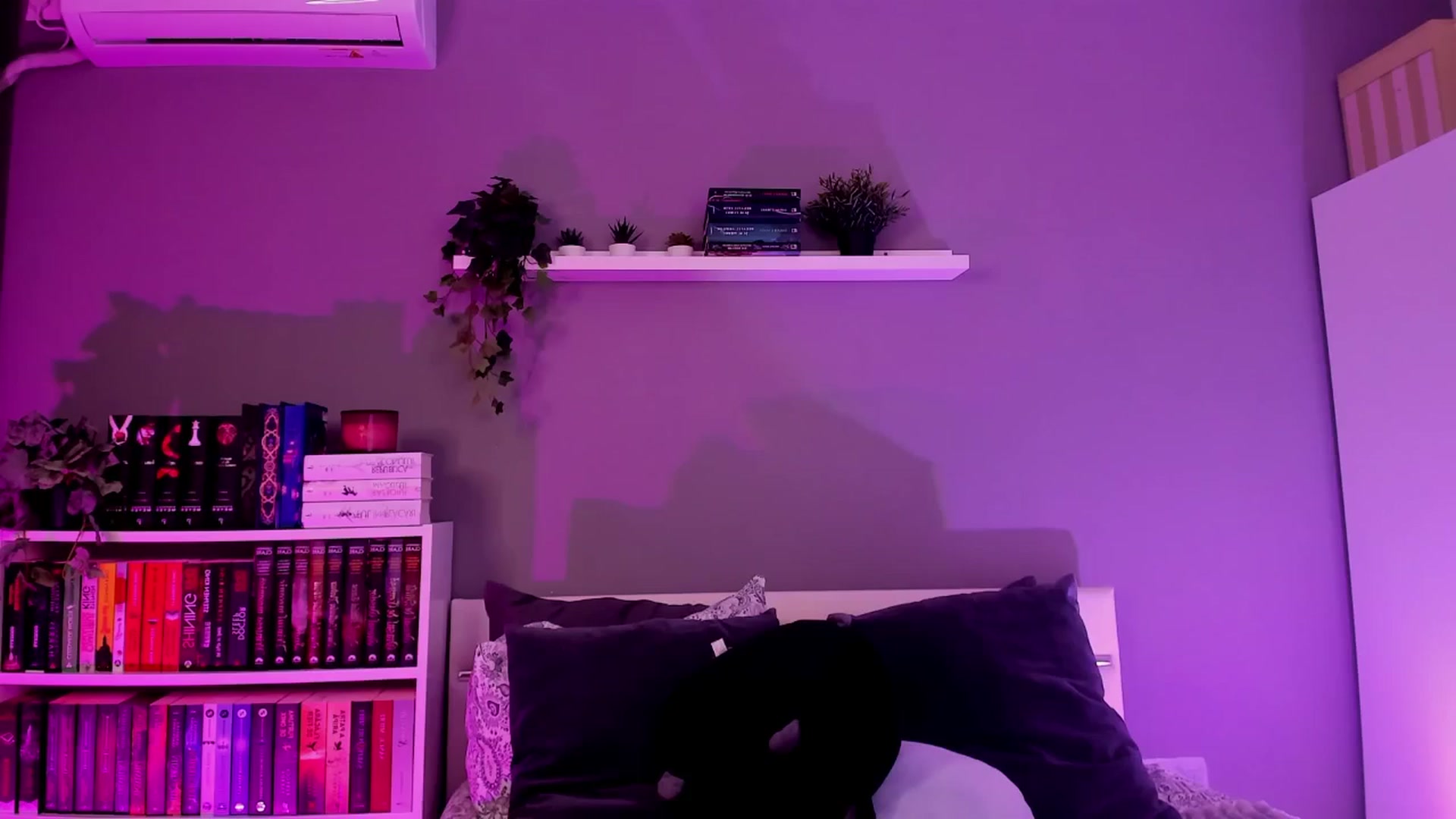 Gallery image thumbnail from BlossomBae's myfreecams stream on, 12/27/2025, 20:12 image 12 of 20
