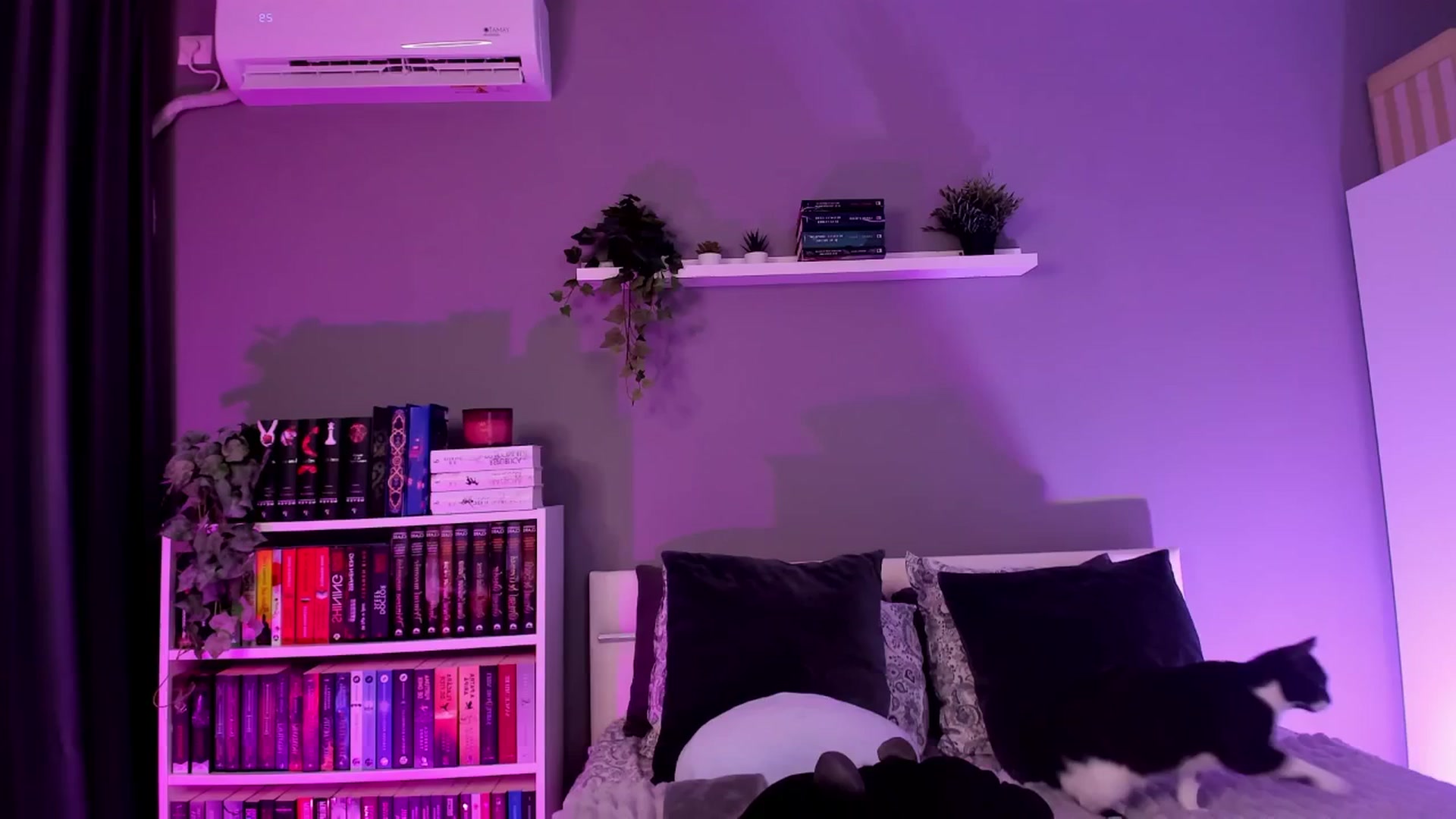 Gallery image thumbnail from BlossomBae's myfreecams stream on, 01/23/2026, 20:39 image 1 of 20
