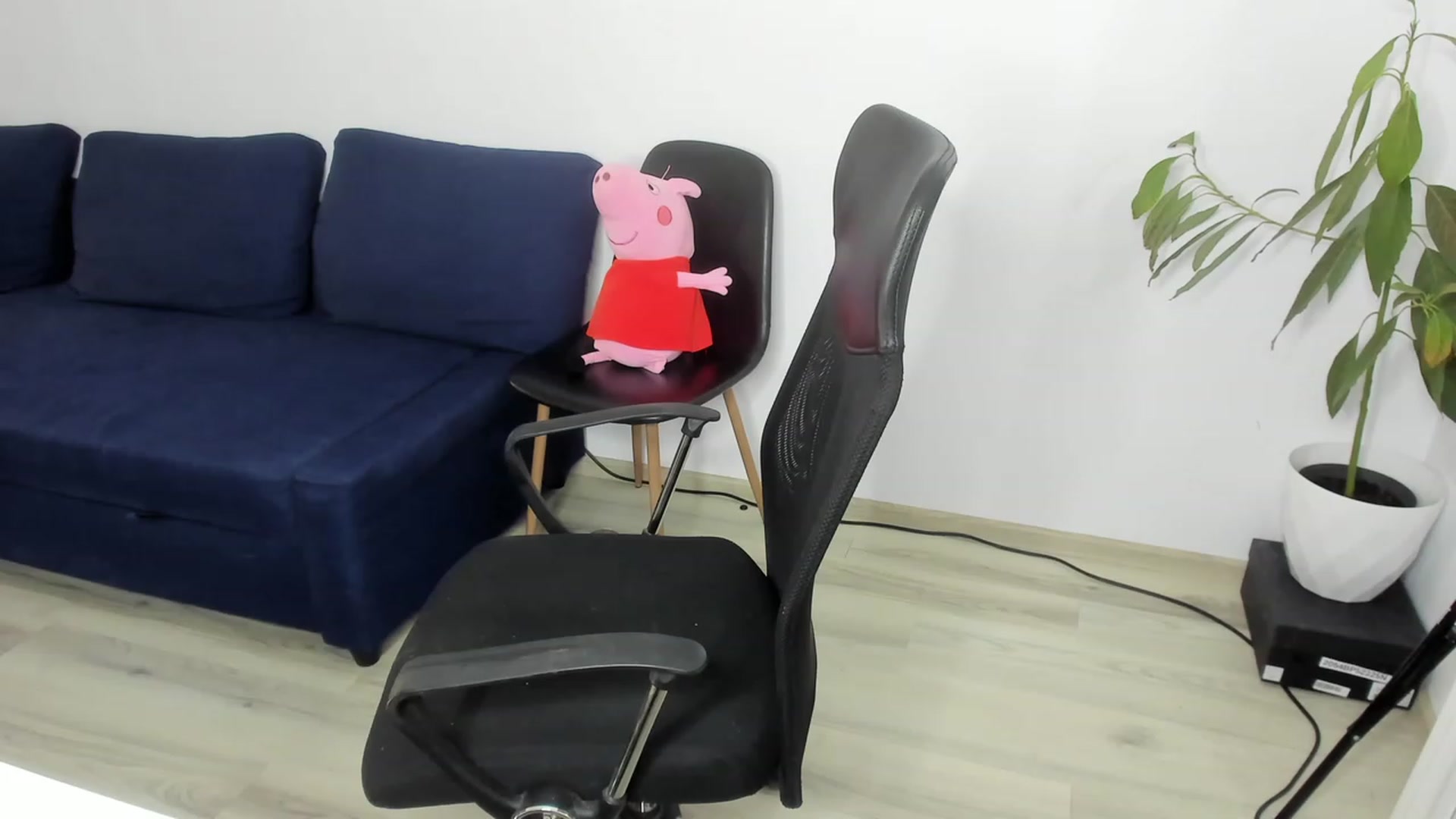 Gallery image thumbnail from BlueEyesLexy's myfreecams stream on, 08/17/2023, 05:25 image 1 of 20