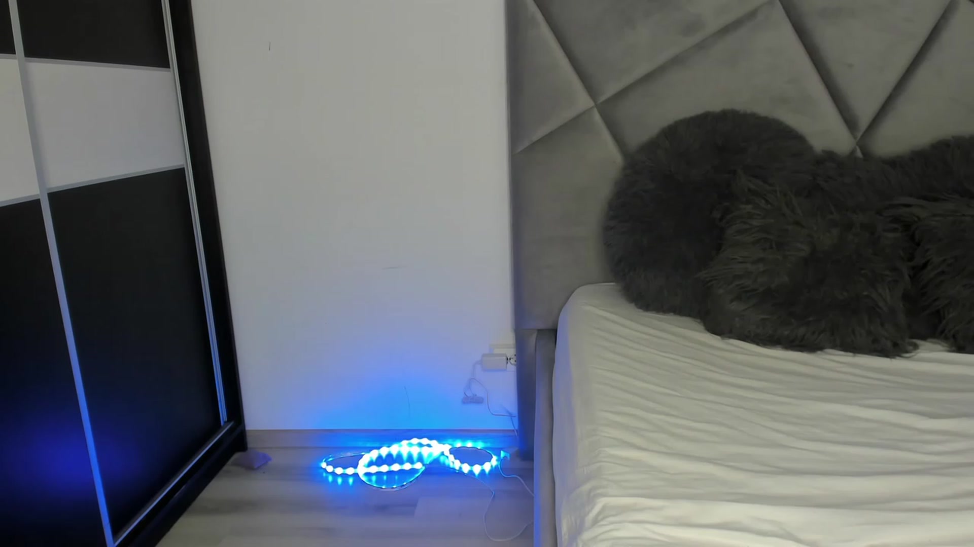 Gallery image thumbnail from BlueEyesLexy's myfreecams stream on, 08/30/2023, 09:44 image 5 of 20