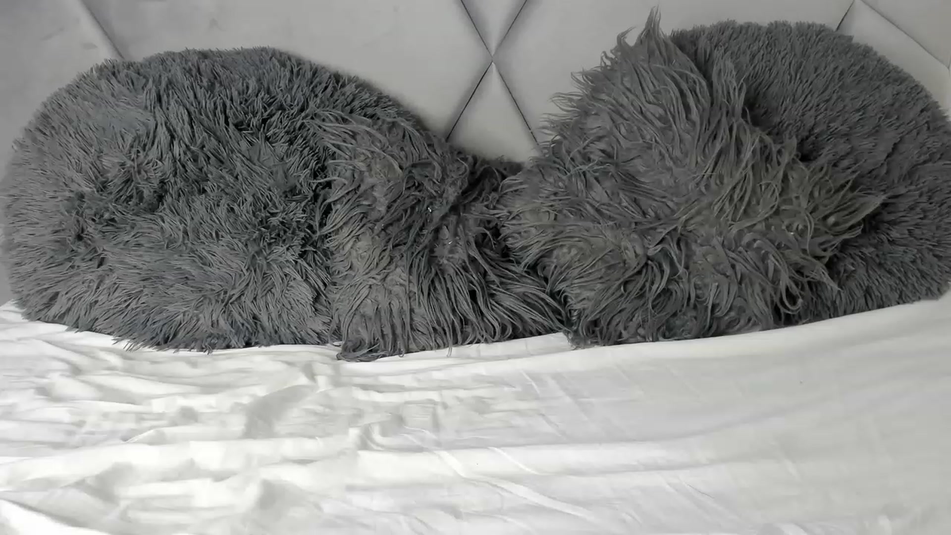 Gallery image thumbnail from BlueEyesLexy's myfreecams stream on, 11/11/2023, 11:49 image 20 of 20