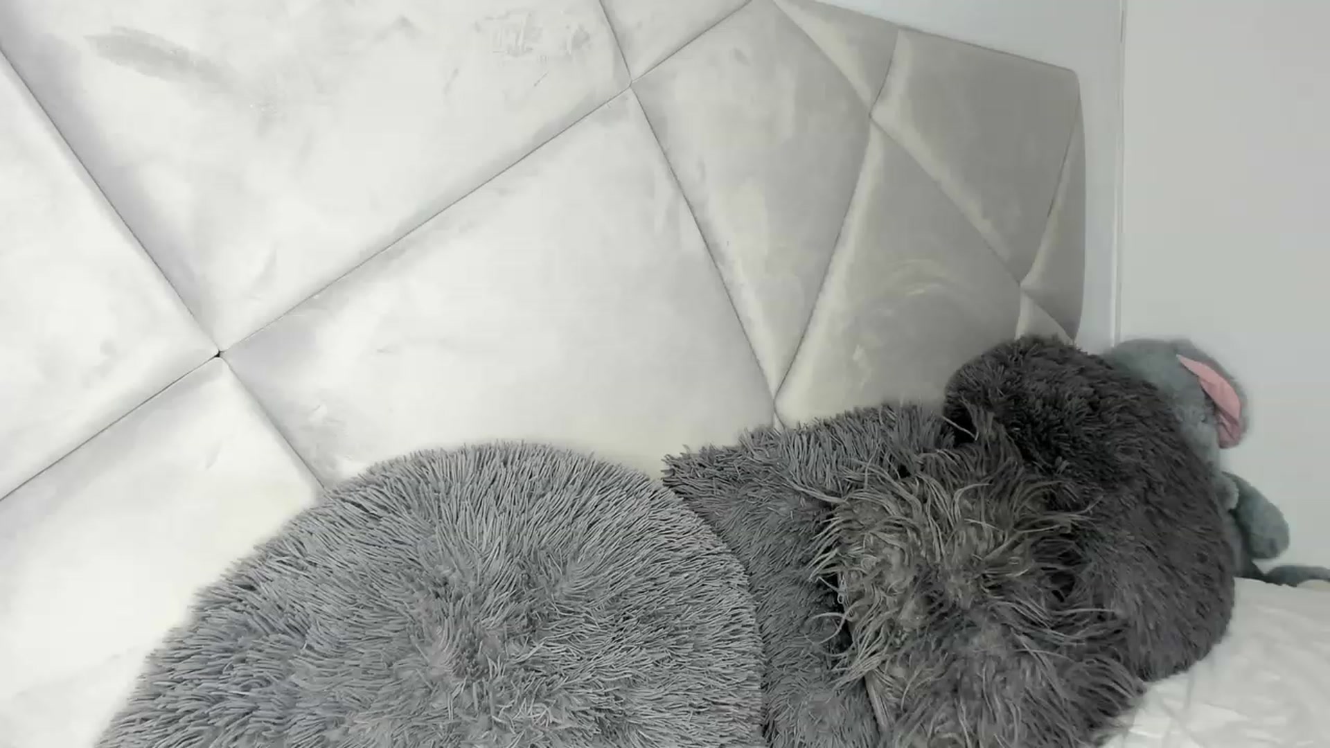Gallery image thumbnail from BlueEyesLexy's myfreecams stream on, 11/20/2023, 06:37 image 2 of 20
