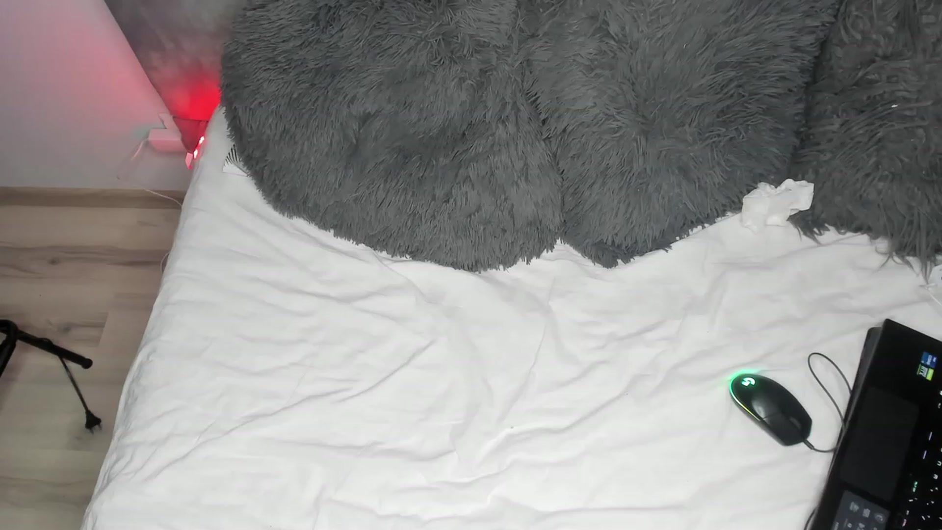 Gallery image thumbnail from BlueEyesLexy's myfreecams stream on, 01/03/2024, 15:20 image 8 of 20