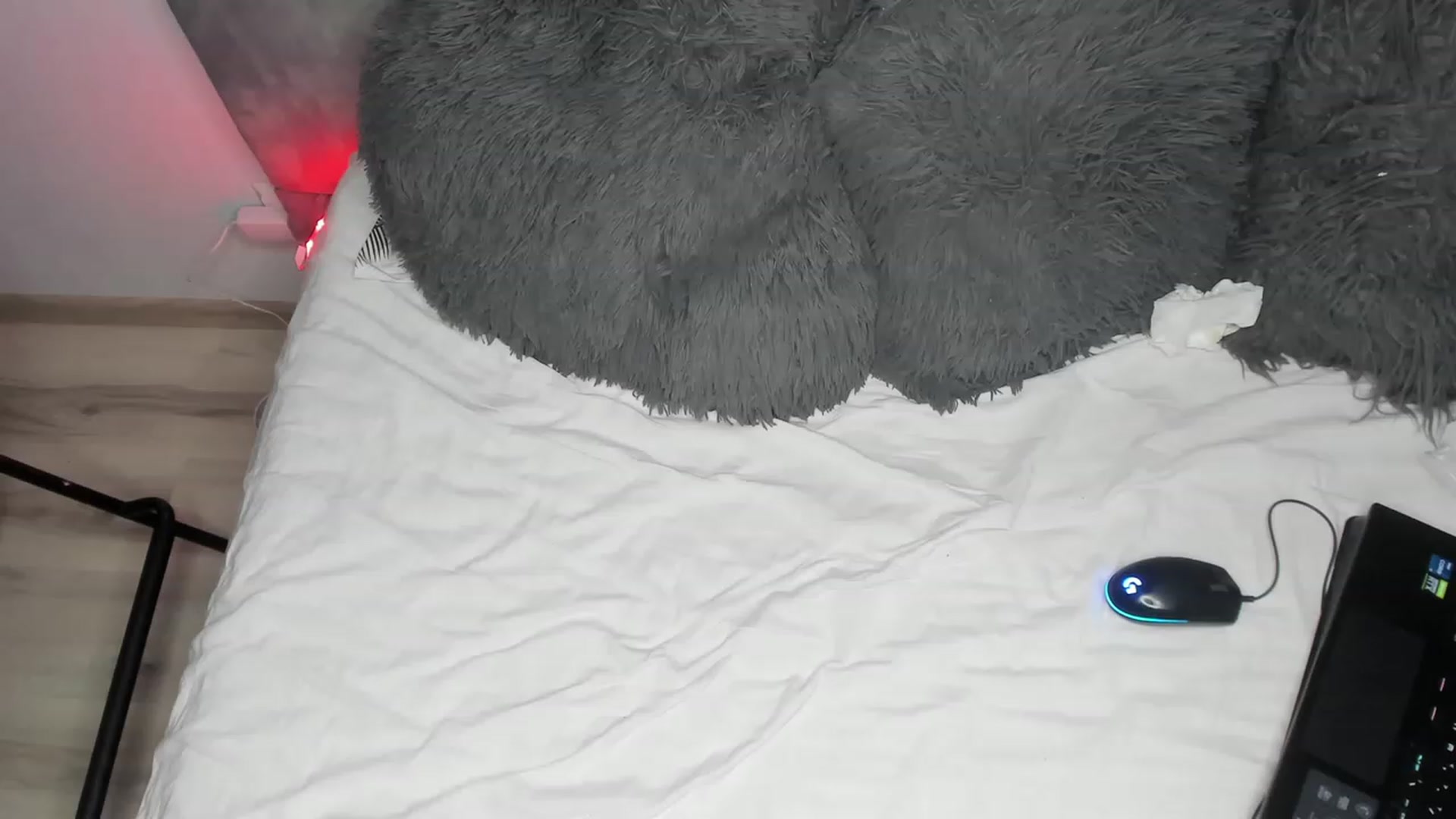 Gallery image thumbnail from BlueEyesLexy's myfreecams stream on, 01/03/2024, 15:20 image 5 of 20