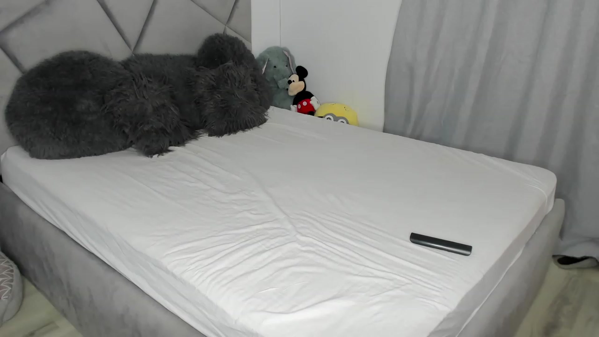 Gallery image thumbnail from BlueEyesLexy's myfreecams stream on, 02/10/2024, 15:05 image 2 of 20