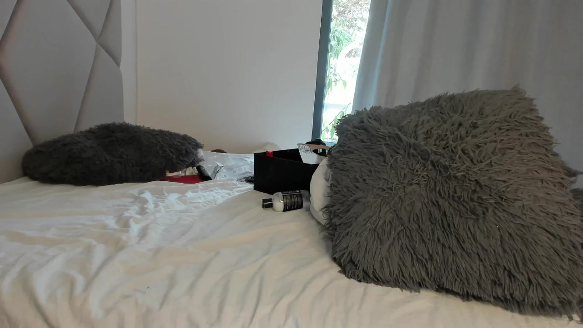 Gallery image thumbnail from BlueEyesLexy's myfreecams stream on, 04/17/2024, 07:04 image 12 of 20