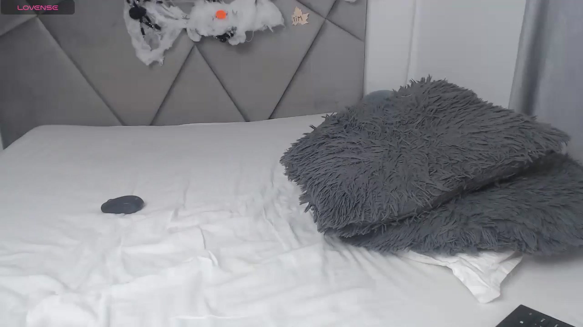Gallery image thumbnail from BlueEyesLexy's myfreecams stream on, 10/25/2024, 08:16 image 20 of 20