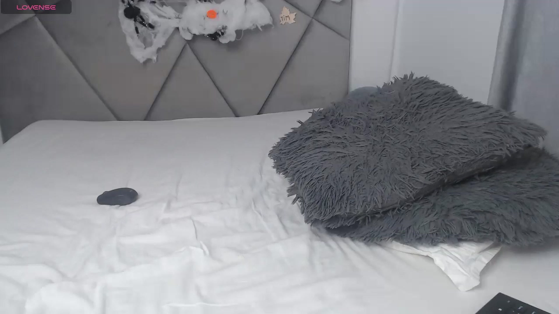 Gallery image thumbnail from BlueEyesLexy's myfreecams stream on, 10/25/2024, 08:16 image 19 of 20