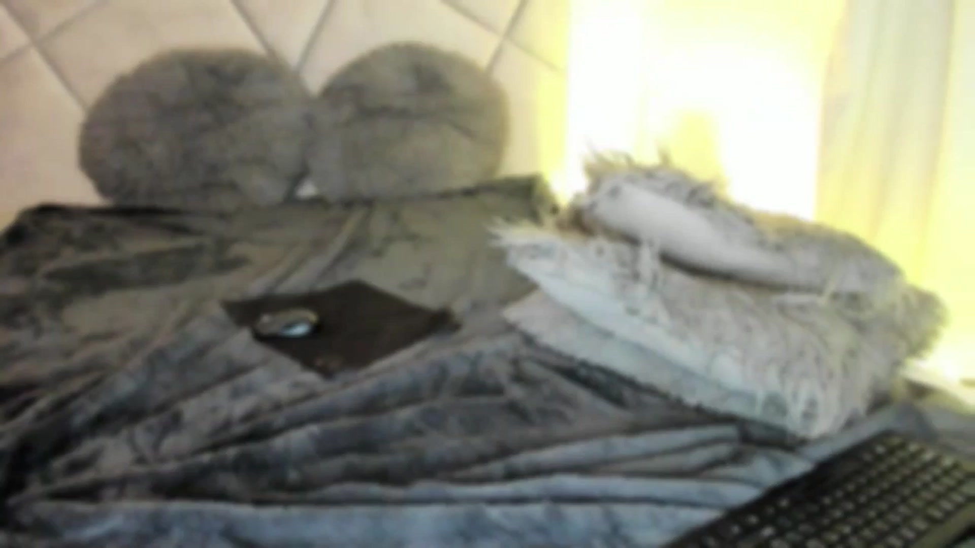 Gallery image thumbnail from BlueEyesLexy's myfreecams stream on, 12/29/2024, 12:48 image 14 of 20