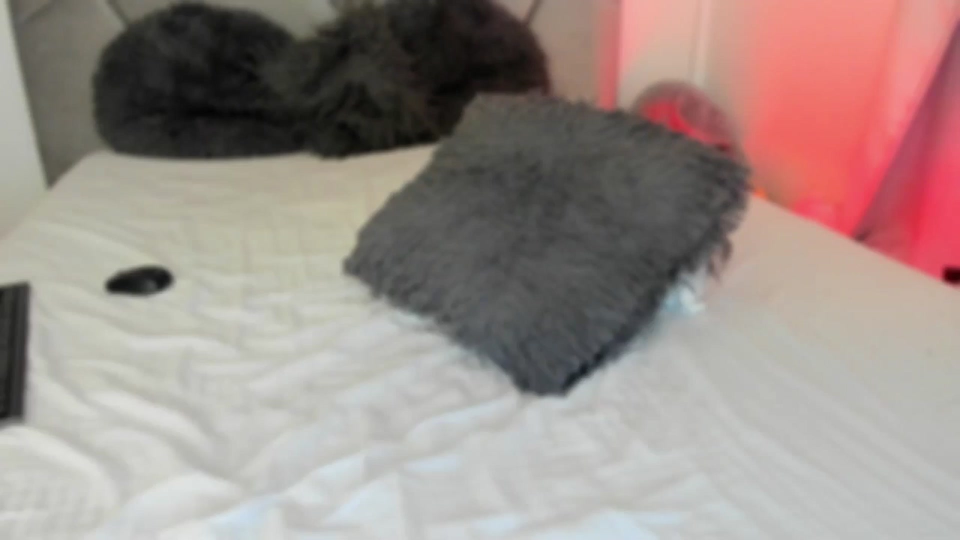 Gallery image thumbnail from BlueEyesLexy's myfreecams stream on, 01/11/2025, 12:38 image 11 of 20