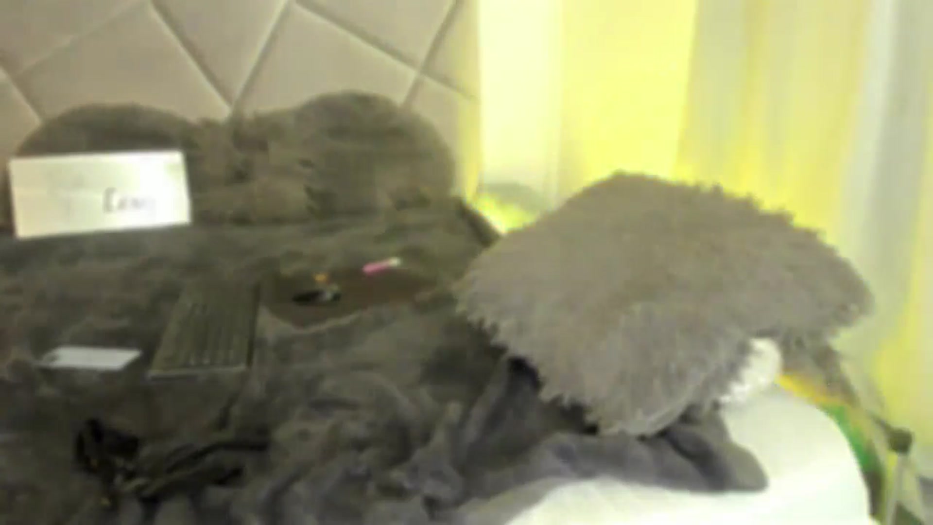Gallery image thumbnail from BlueEyesLexy's myfreecams stream on, 01/17/2025, 10:53 image 8 of 20