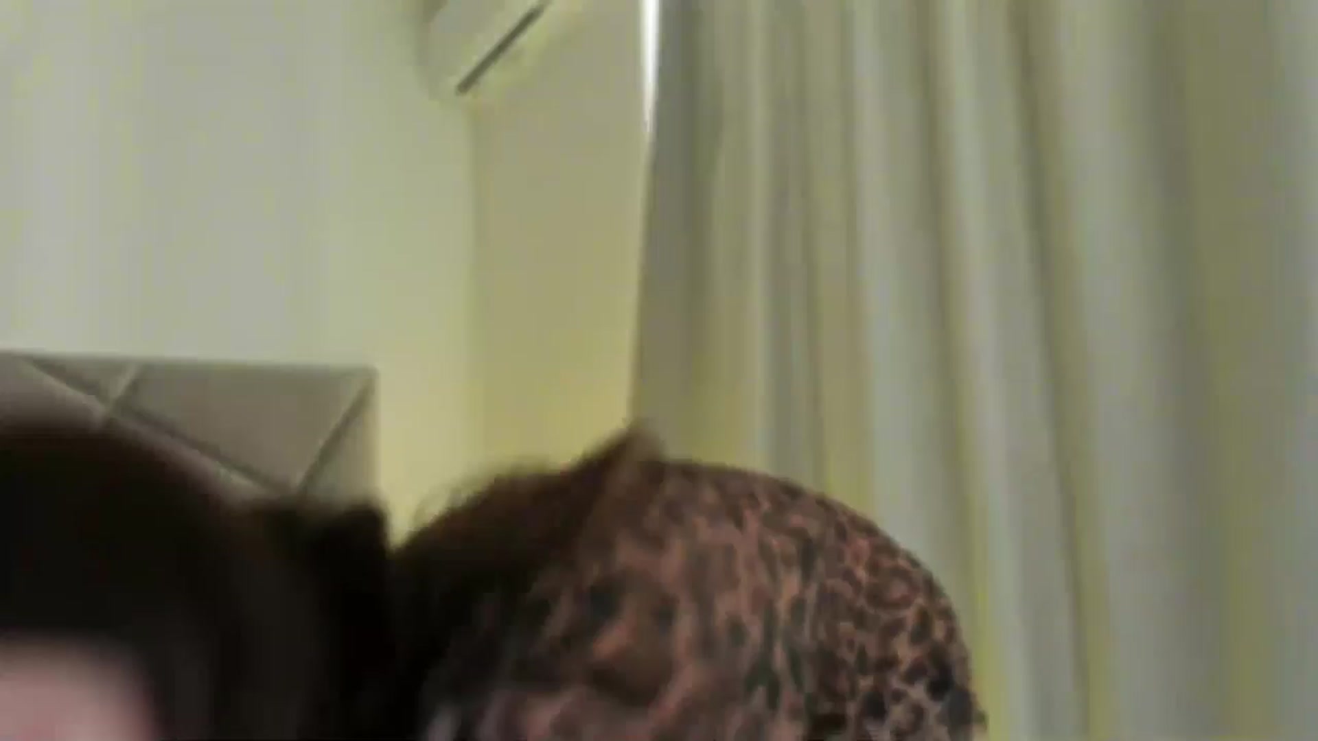 Gallery image thumbnail from BlueEyesLexy's myfreecams stream on, 01/17/2025, 10:53 image 12 of 20