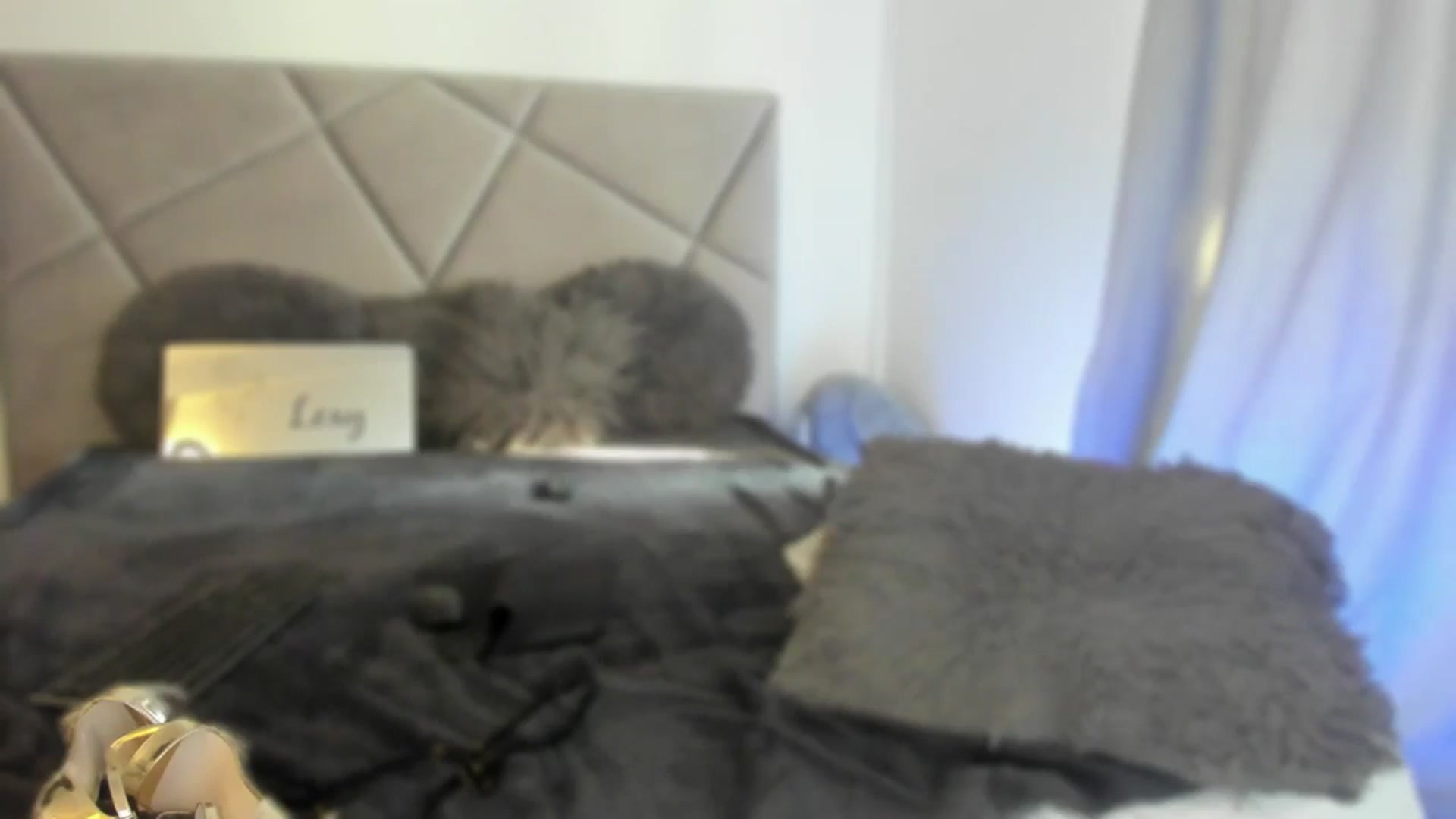 Gallery image thumbnail from BlueEyesLexy's myfreecams stream on, 01/23/2025, 08:46 image 19 of 20