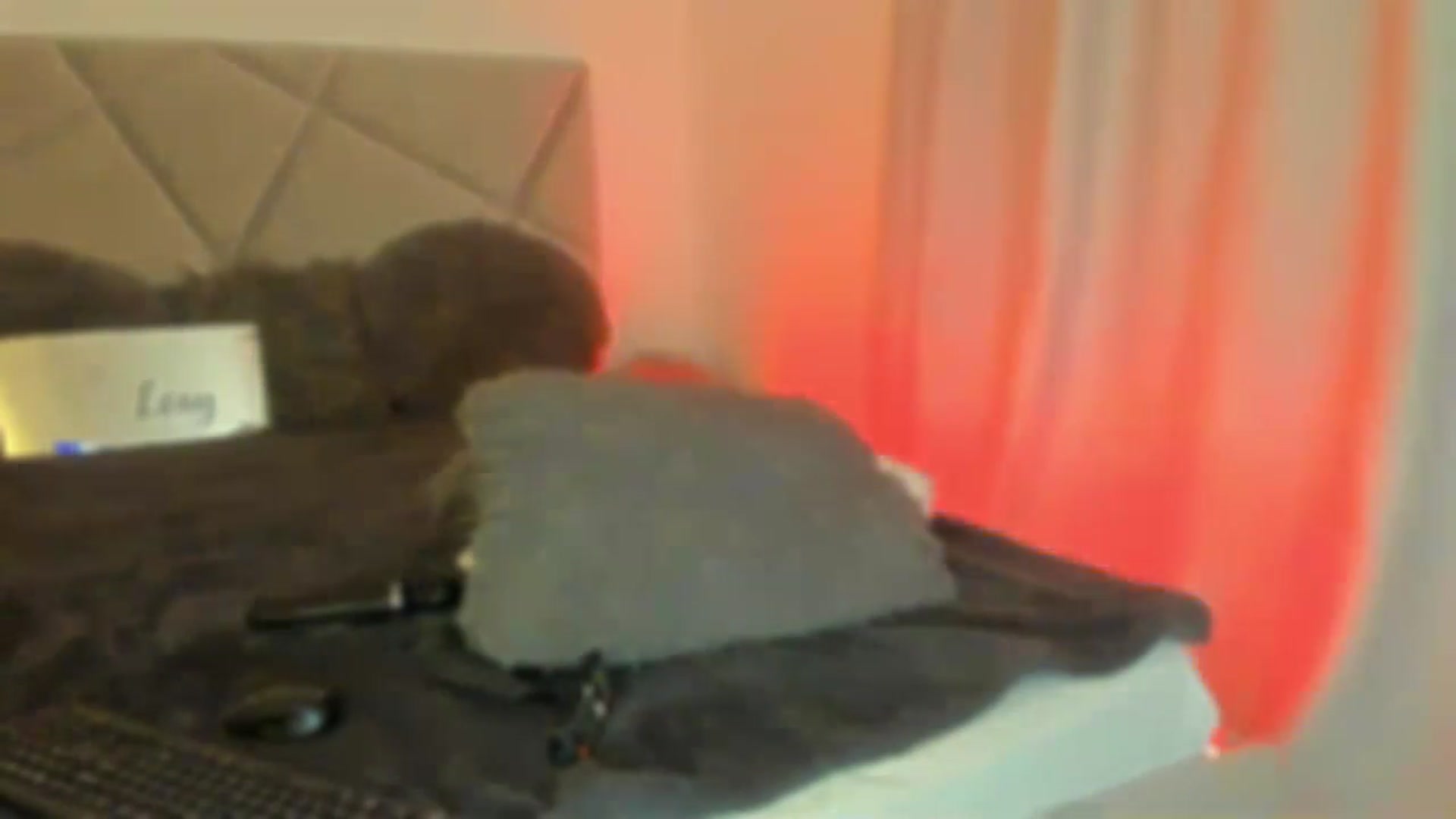 Gallery image thumbnail from BlueEyesLexy's myfreecams stream on, 02/02/2025, 13:02 image 7 of 20