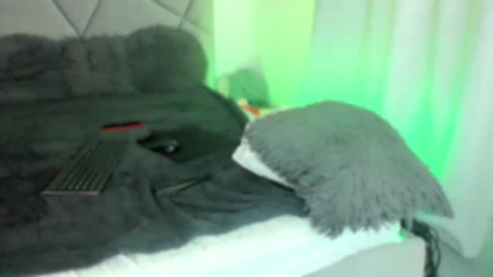 Gallery image thumbnail from BlueEyesLexy's myfreecams stream on, 02/14/2025, 09:33 image 19 of 20