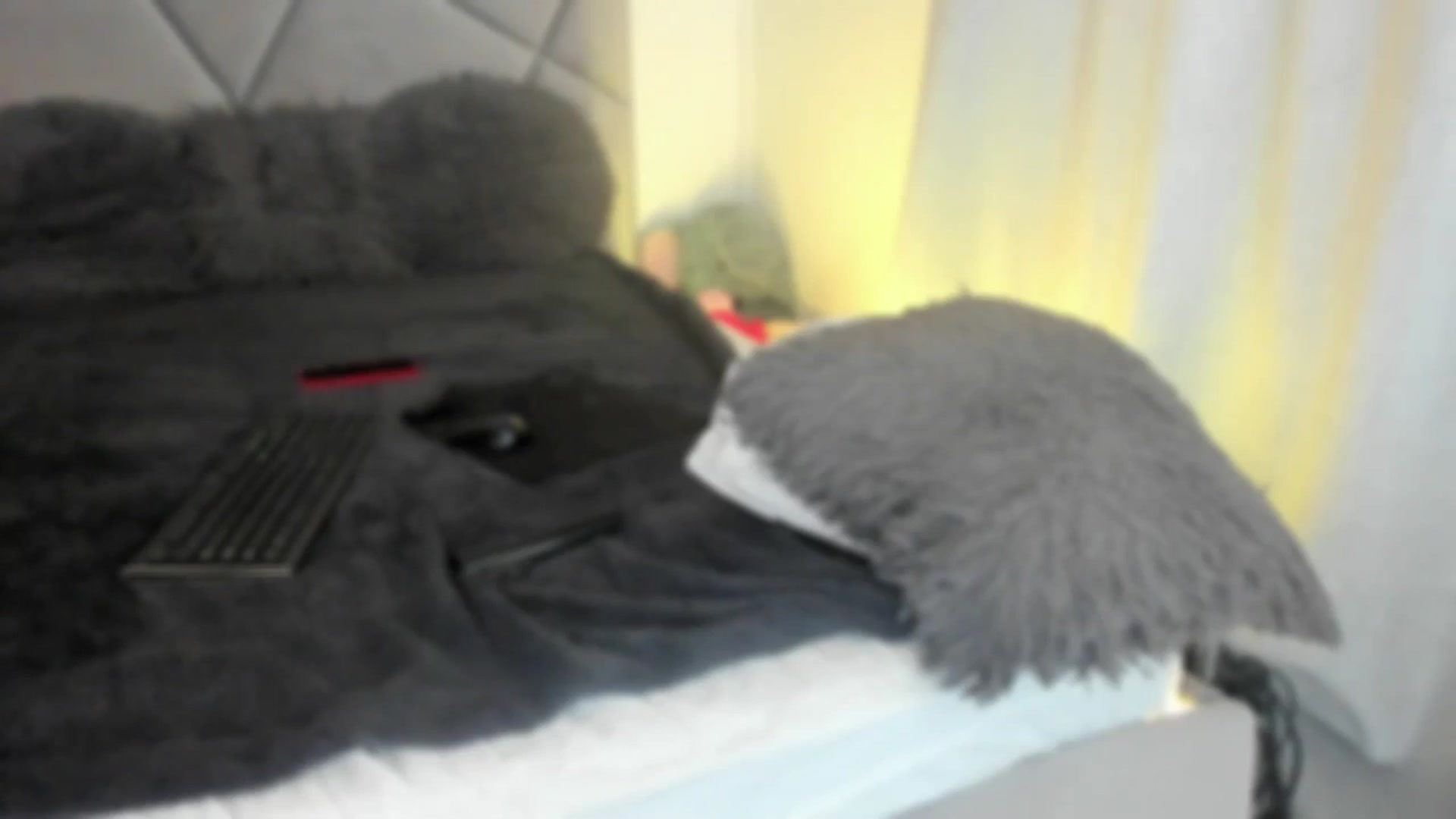 Gallery image thumbnail from BlueEyesLexy's myfreecams stream on, 02/14/2025, 09:33 image 20 of 20
