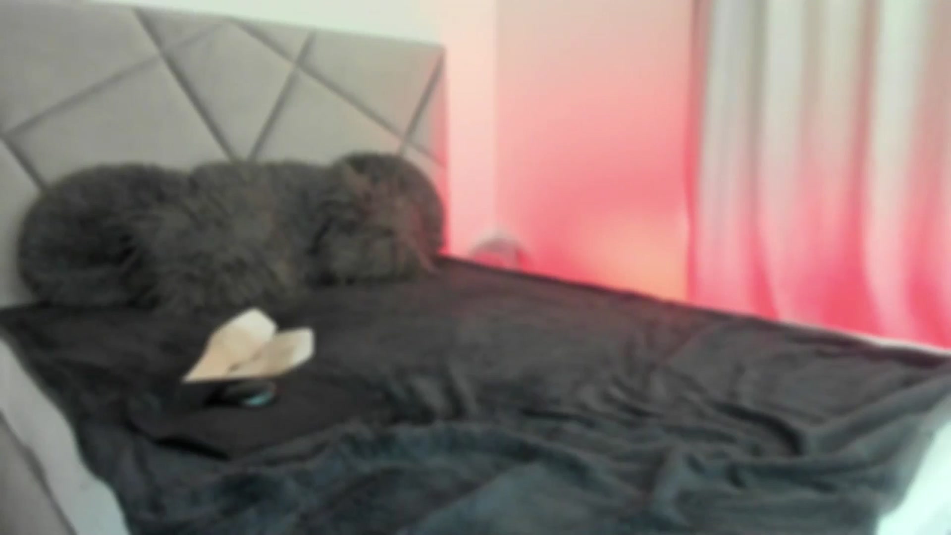 Gallery image thumbnail from BlueEyesLexy's myfreecams stream on, 03/04/2025, 12:39 image 7 of 20