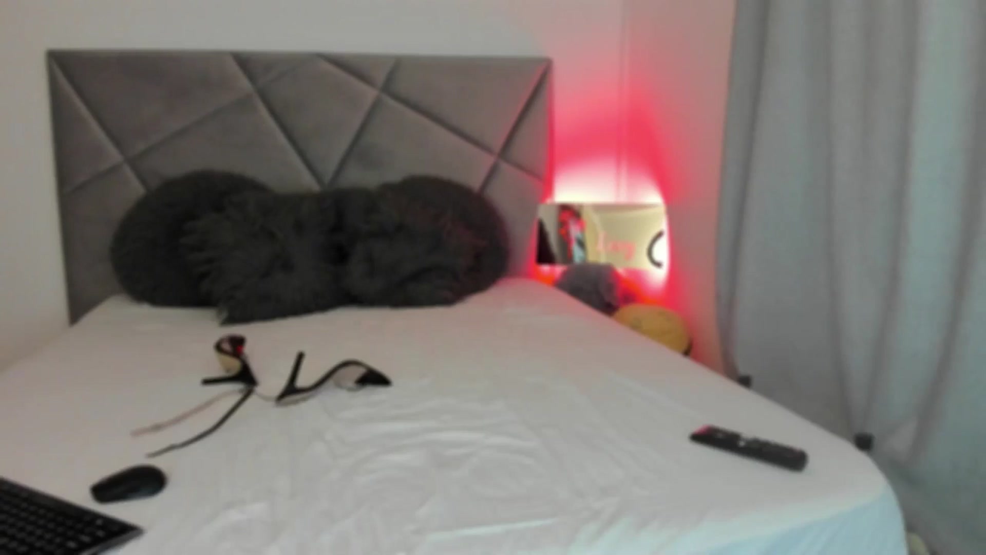 Gallery image thumbnail from BlueEyesLexy's myfreecams stream on, 05/14/2025, 10:34 image 3 of 20