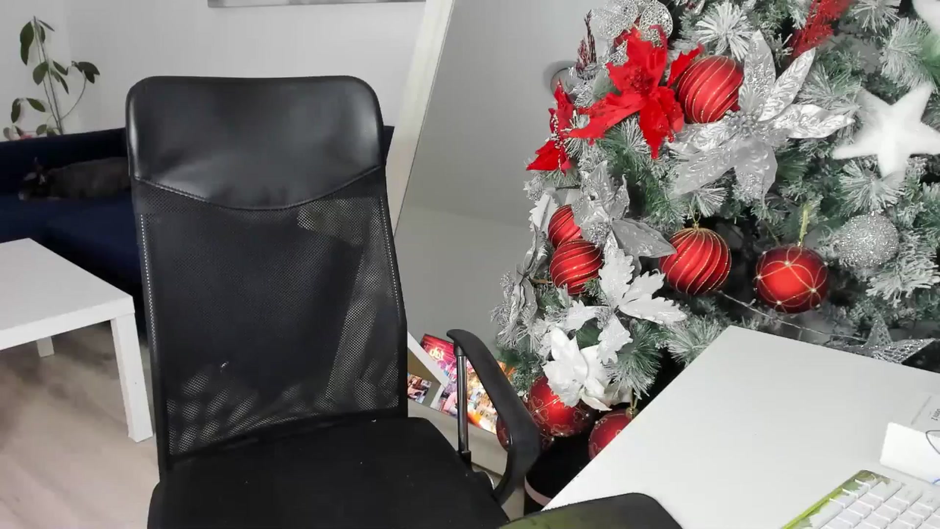 Gallery image thumbnail from BlueEyesLexy's myfreecams stream on, 11/19/2025, 11:34 image 20 of 20