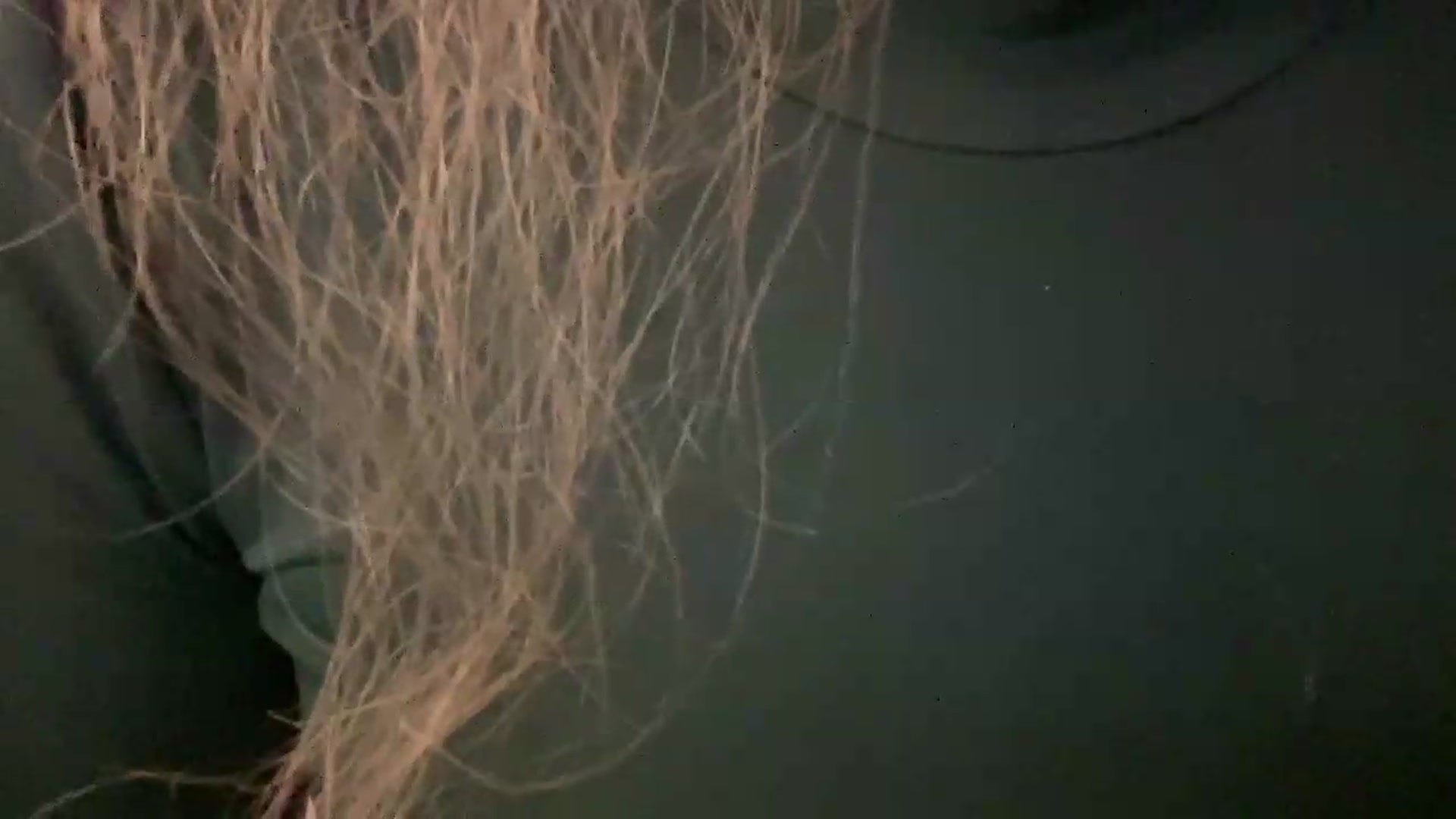 Gallery image thumbnail from BlueFlowerr's myfreecams stream on, 05/18/2026, 02:33 image 17 of 20