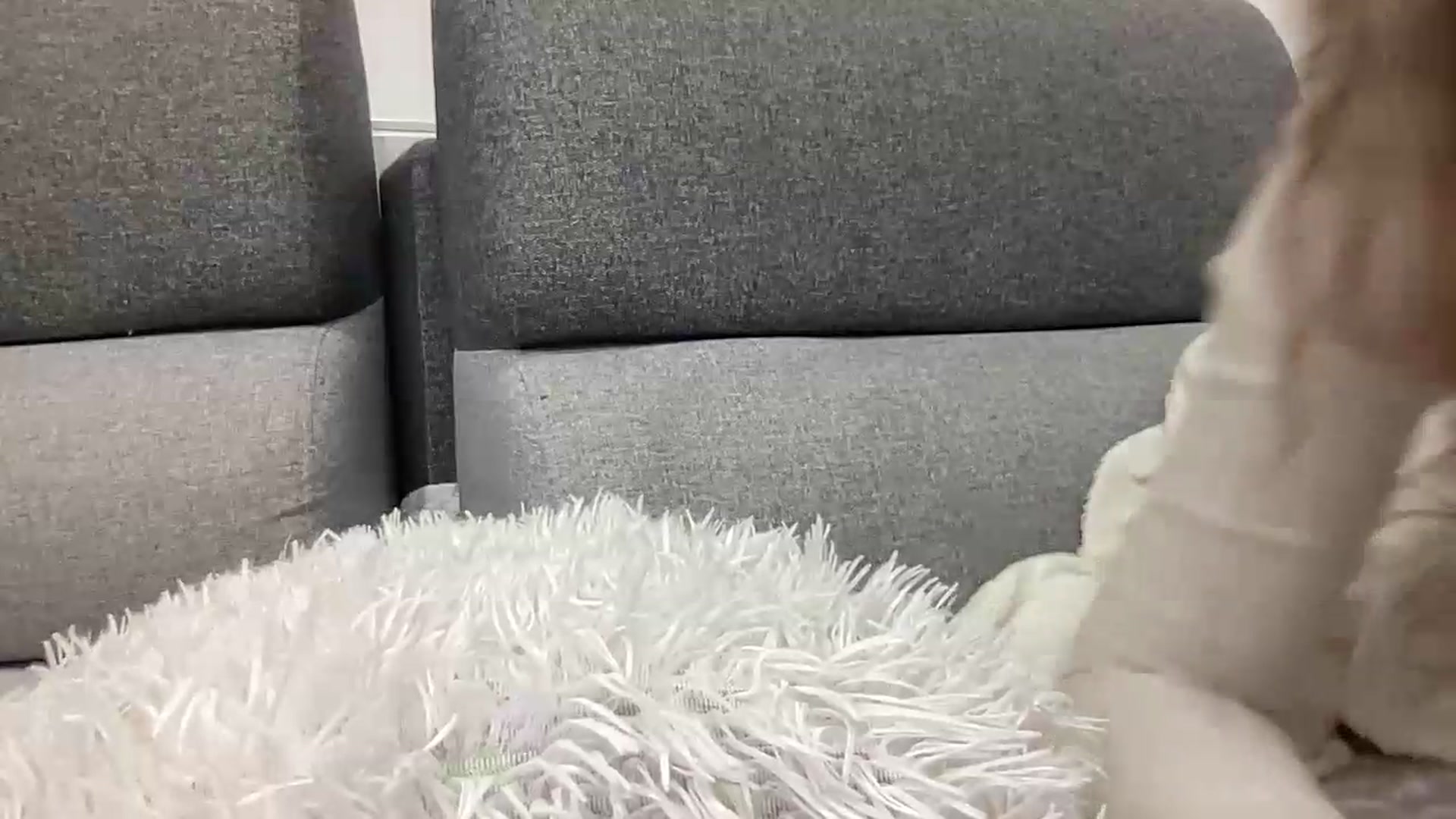 Gallery image thumbnail from BlueFlowerr's myfreecams stream on, 05/23/2026, 21:31 image 4 of 20