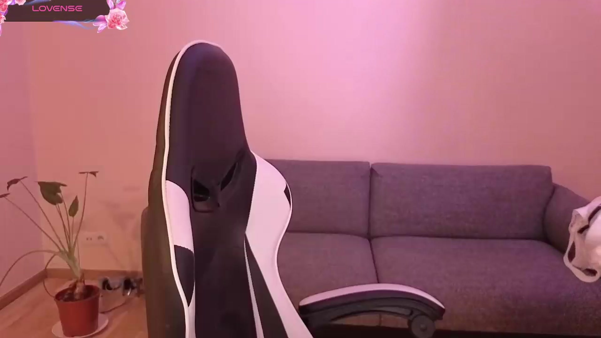 Gallery image thumbnail from BlueFlowerr's myfreecams stream on, 06/12/2026, 24:30 image 14 of 20