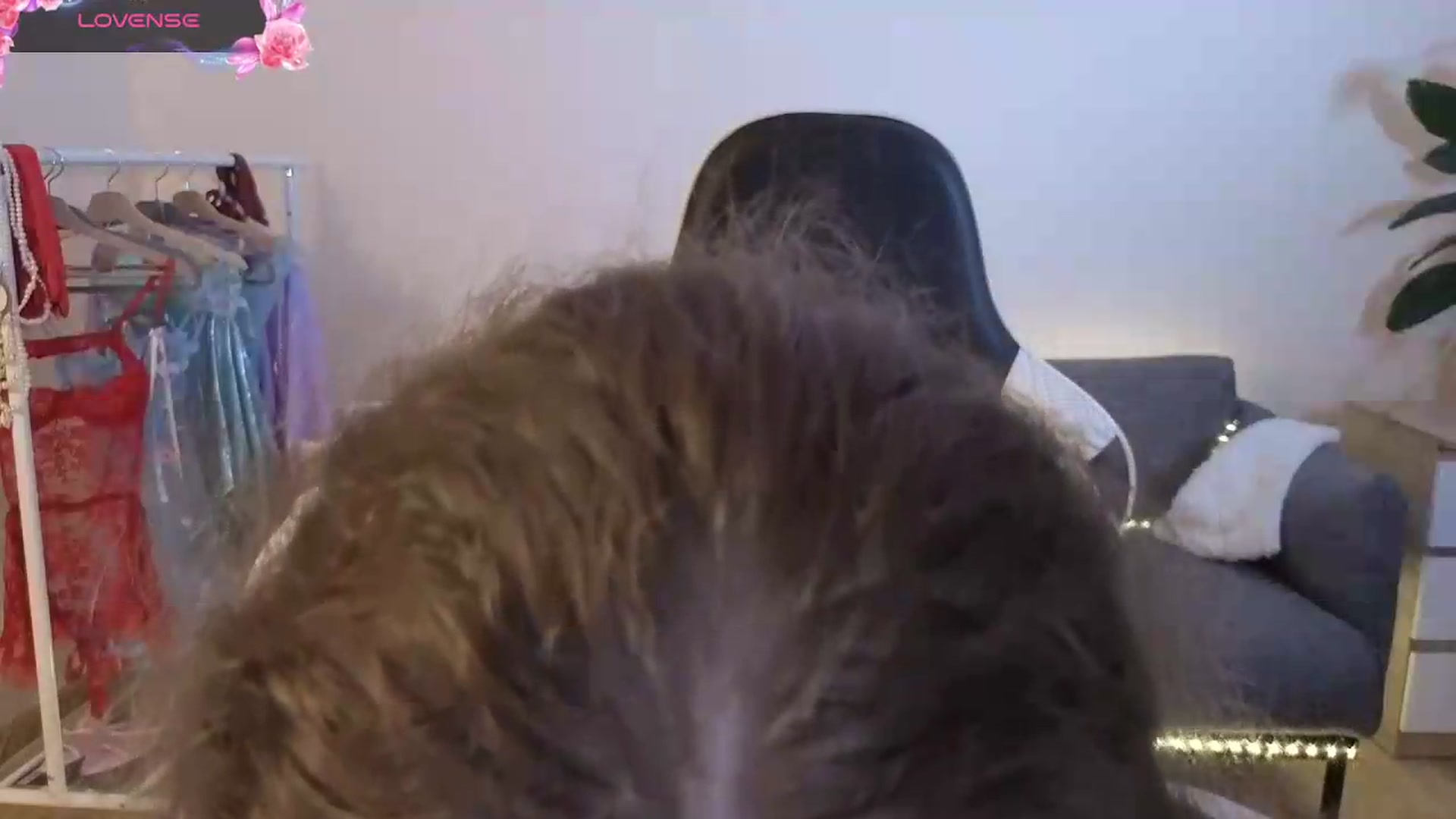 Gallery image thumbnail from BlueFlowerr's myfreecams stream on, 07/08/2026, 22:56 image 6 of 20