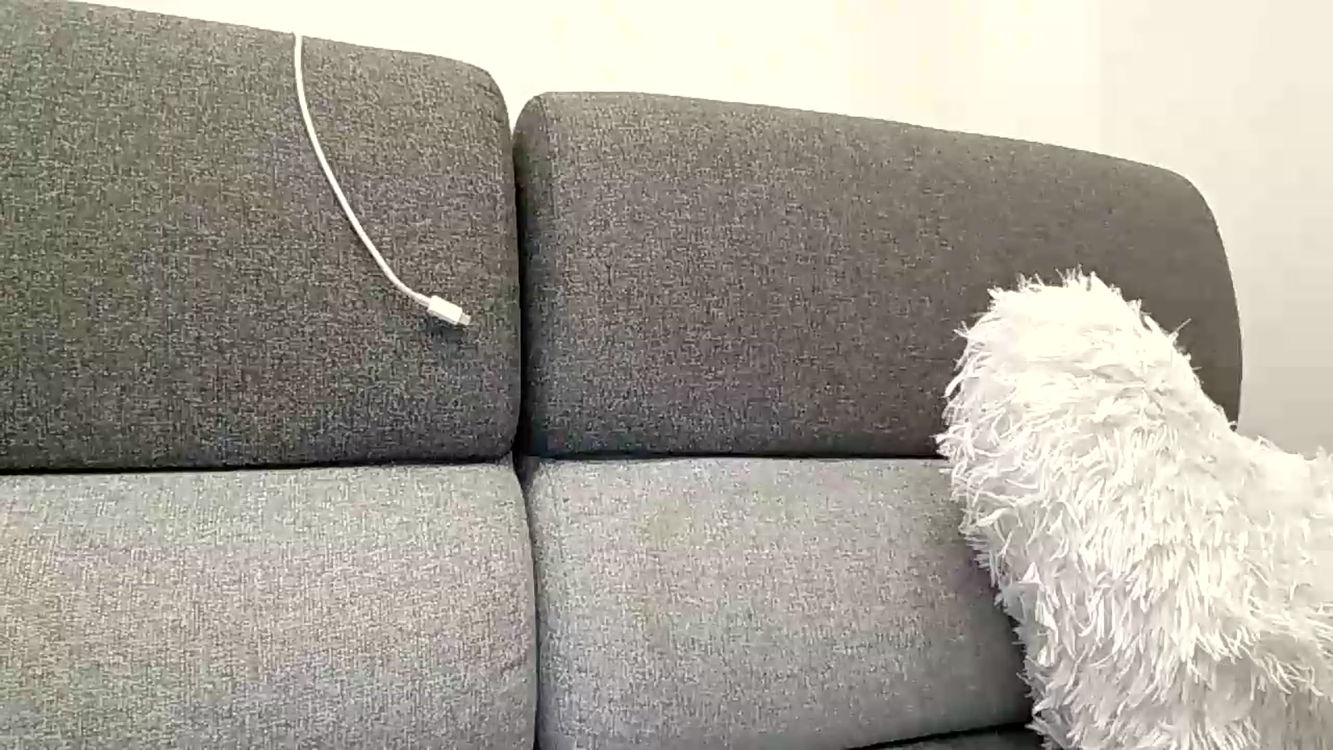 Gallery image thumbnail from BlueFlowerr's myfreecams stream on, 07/12/2026, 22:54 image 16 of 20