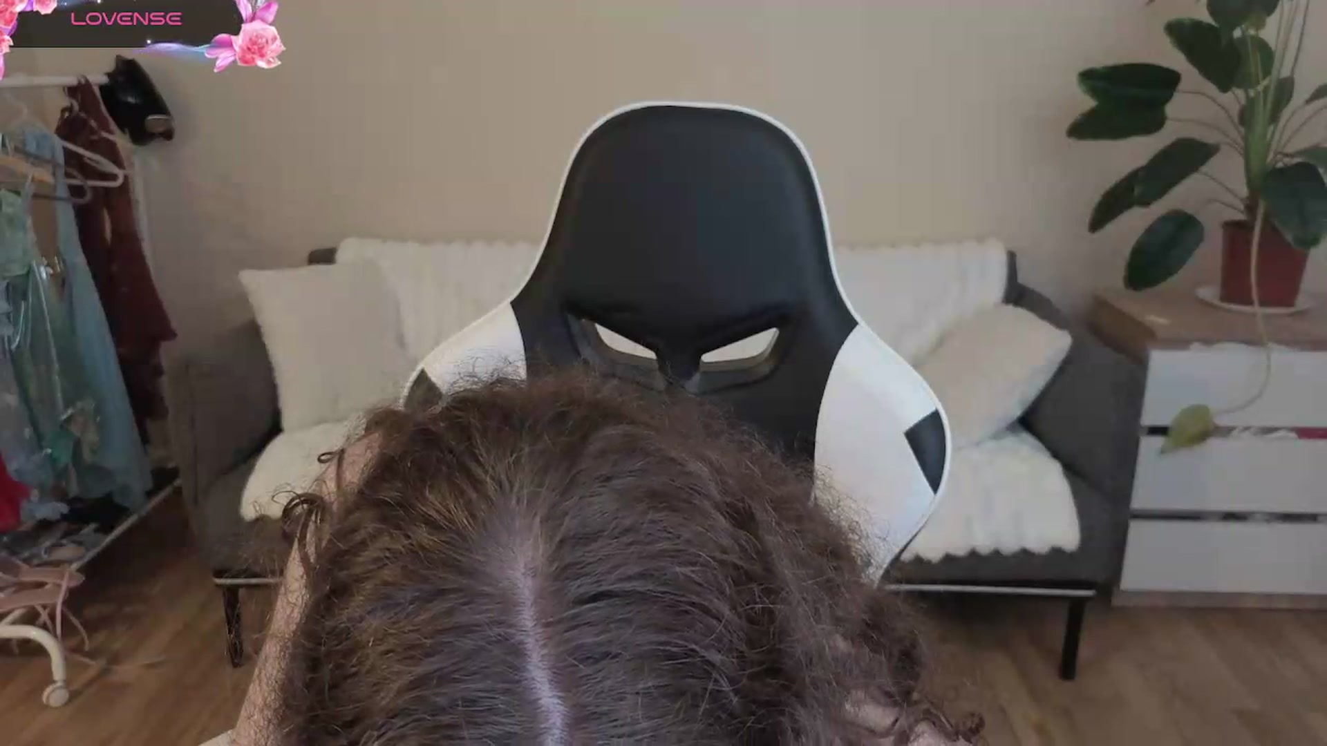 Gallery image thumbnail from BlueFlowerr's myfreecams stream on, 08/01/2026, 19:05 image 6 of 20